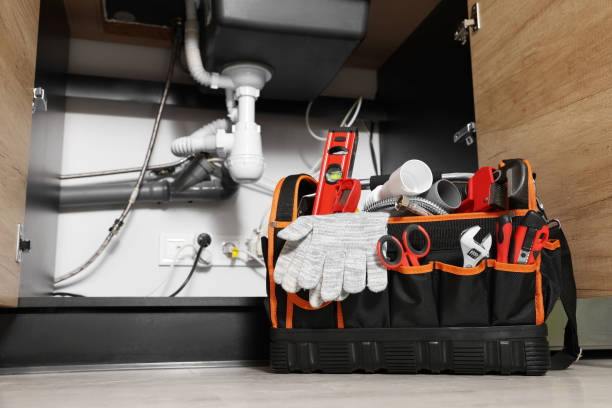 Best Affordable Plumbing Services  in Ridge Manor, FL