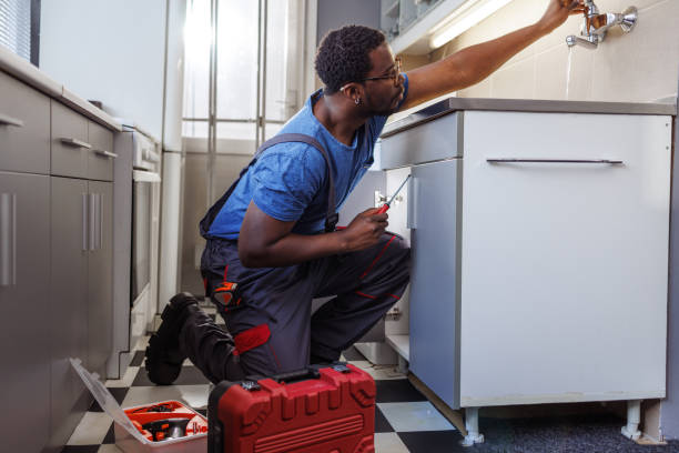 Best Residential Plumbing Services  in Ridge Manor, FL
